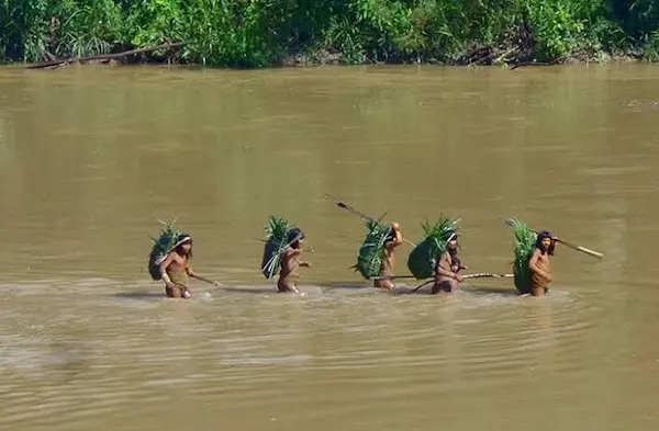 Cómo conocer mejor las historias de la selva peruana