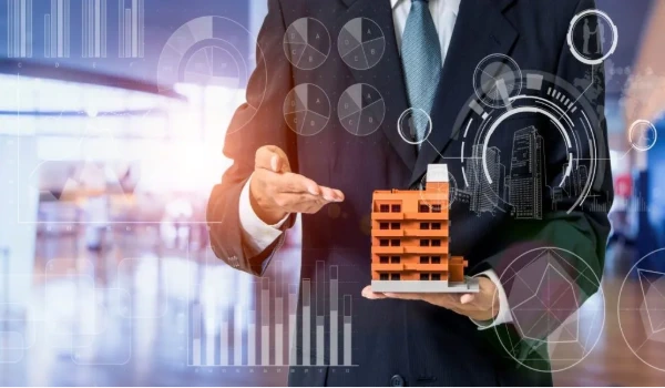 Importancia de la ley de oferta y demanda en la economía