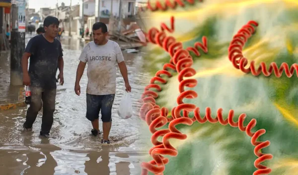 10 síntomas de leptospirosis más comunes
