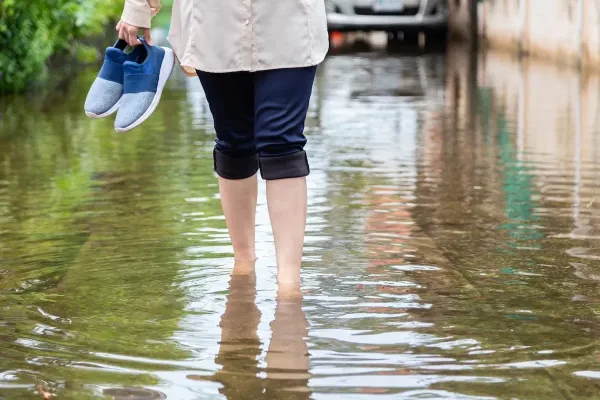 Preguntas frecuentes sobre la leptospirosis
