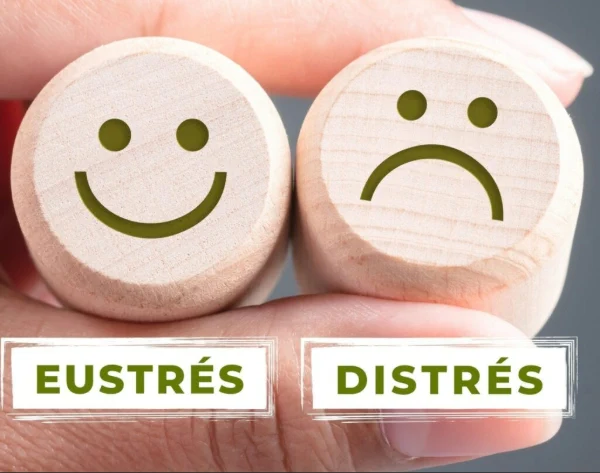 ¿Cuáles son los 3 tipos de estrés?